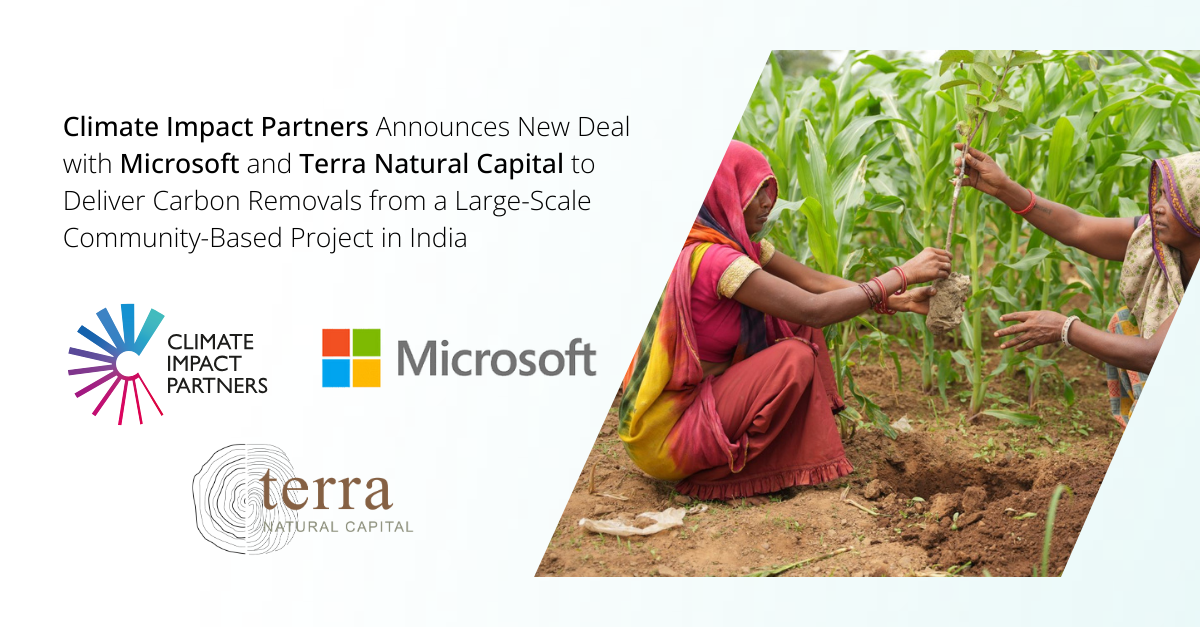 Climate Impact Partners Announces New Deal with Microsoft and Terra Natural Capital to Deliver Carbon Removals from Large-Scale Community-Based Project in India